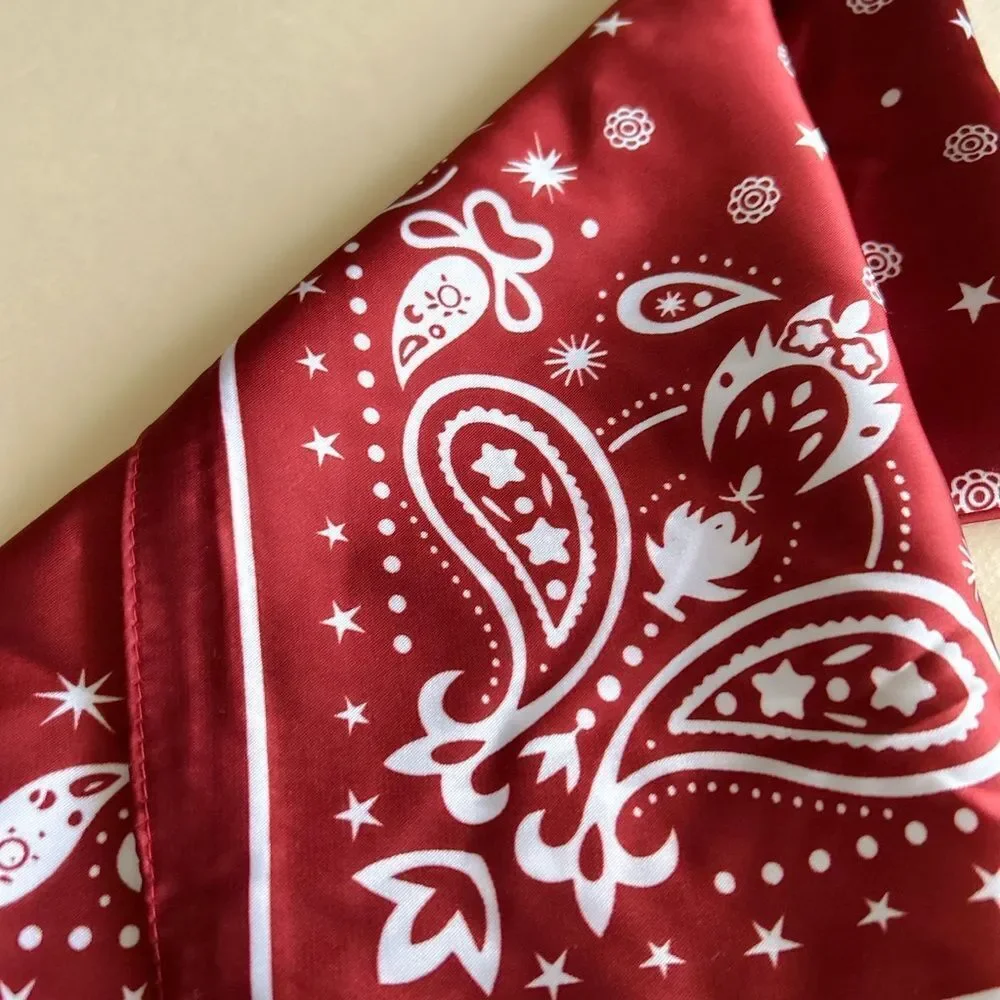 Maroon Paisley scarf P64